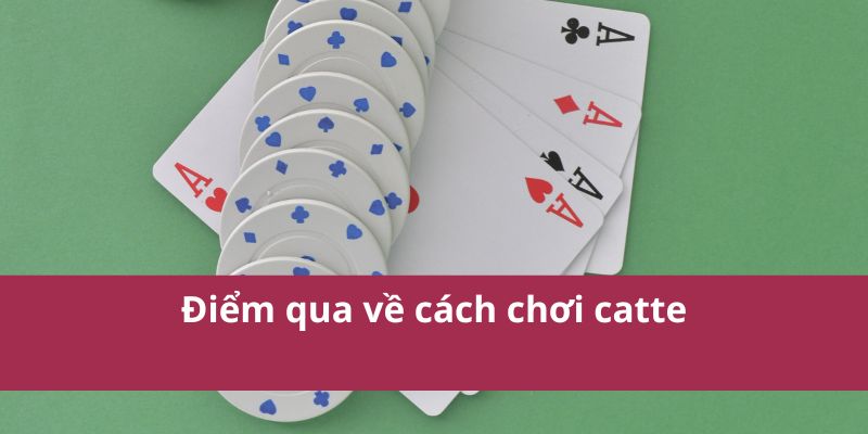 Điểm qua về cách chơi catte