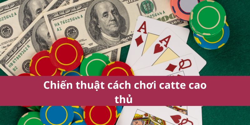 Chiến thuật cách chơi catte cao thủ 