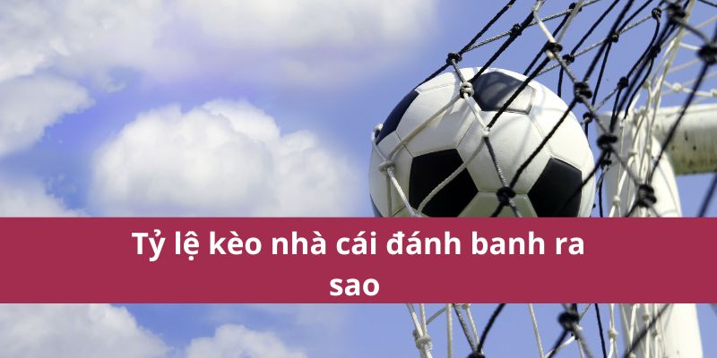 Tỷ lệ kèo nhà cái đánh banh ra sao 