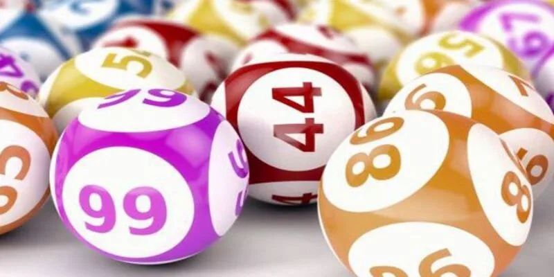 Lý do gì khiến bạn chọn chơi tại 77Bet
